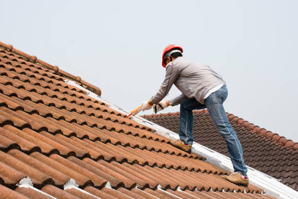 Best Gutter Installation and Repair  in Honsville, GA