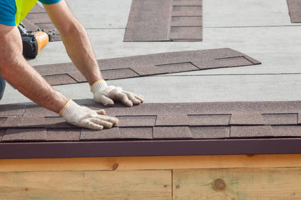 Best Skylight Installation and Repair  in Honsville, GA