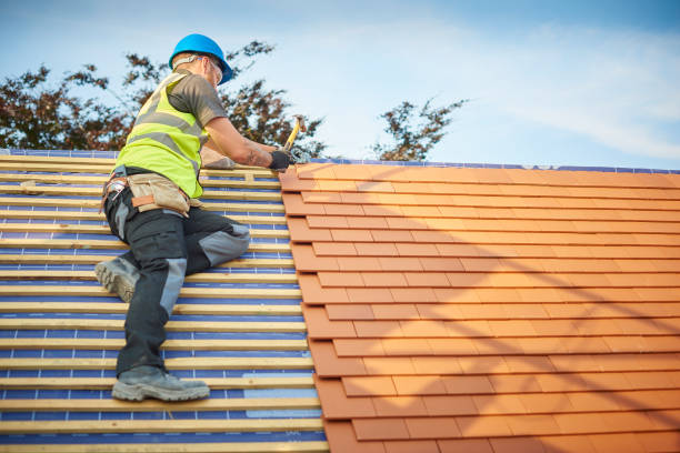Best Metal Roofing Installation  in Honsville, GA